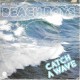 BEACH BOYS - Catch a wave